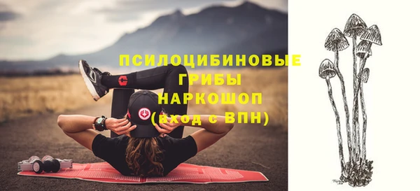твердый Алексин