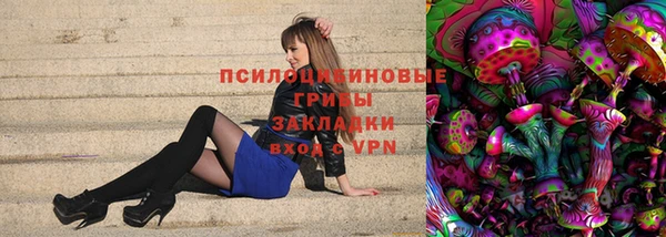 твердый Алексин