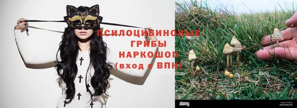твердый Алексин