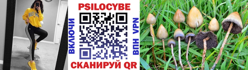 Псилоцибиновые грибы MAGIC MUSHROOMS  OMG маркетплейс  Фатеж 